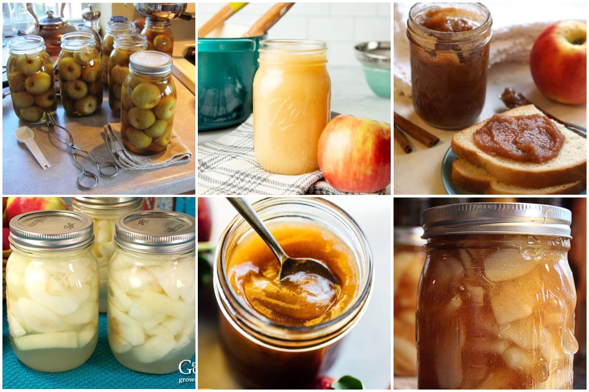 10 Apple Canning Recipes 10 Apple Canning Recipes
