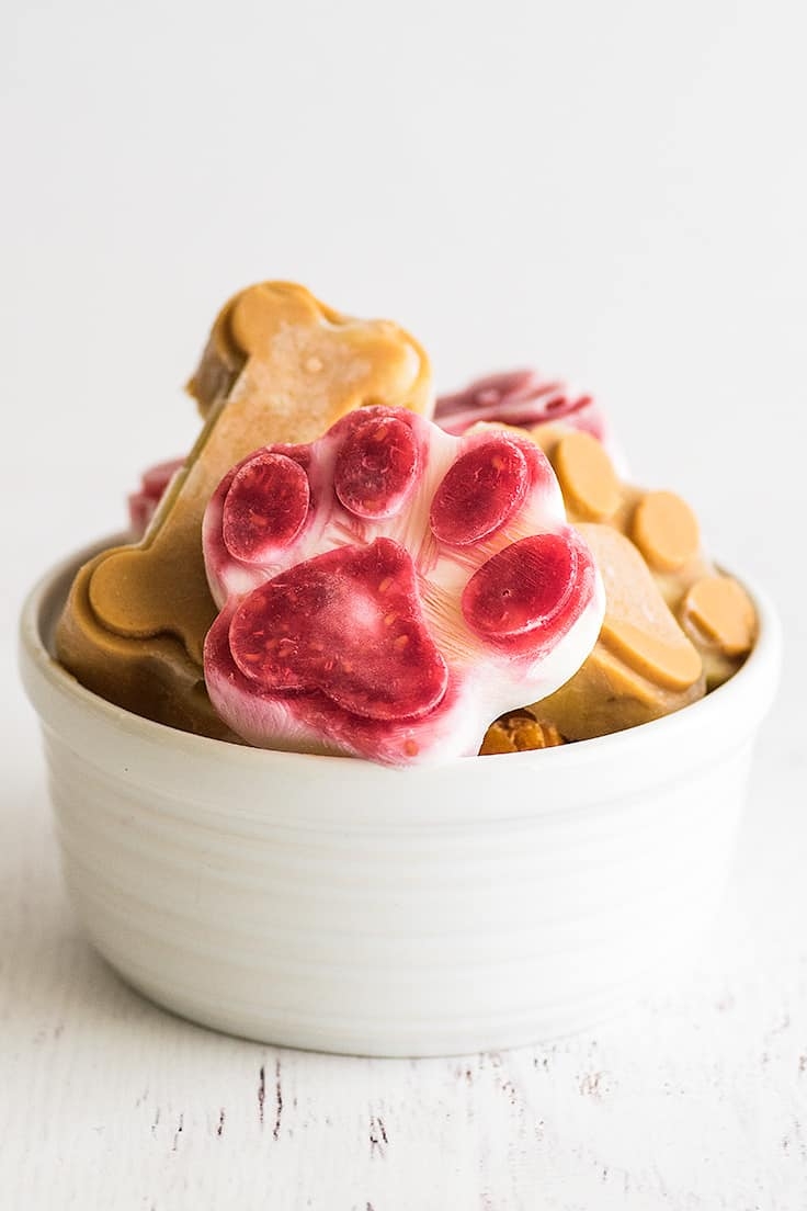 2 ingredient Pupsicles 3 Ways Baking Mischief