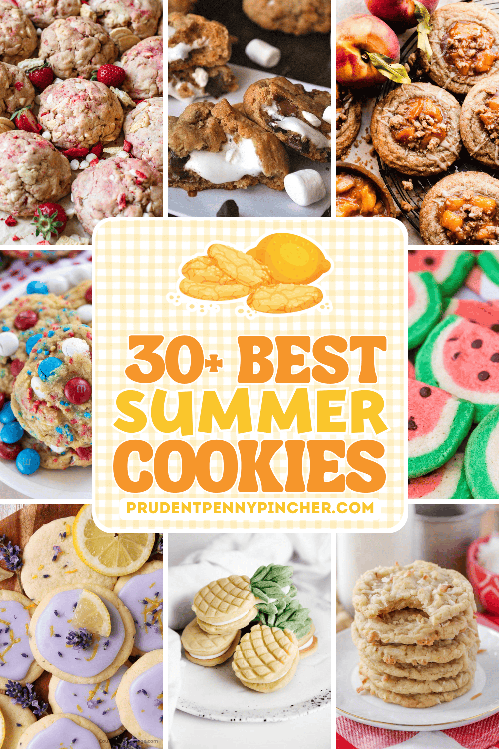 30 Best Summer Cookies Prudent Penny Pincher