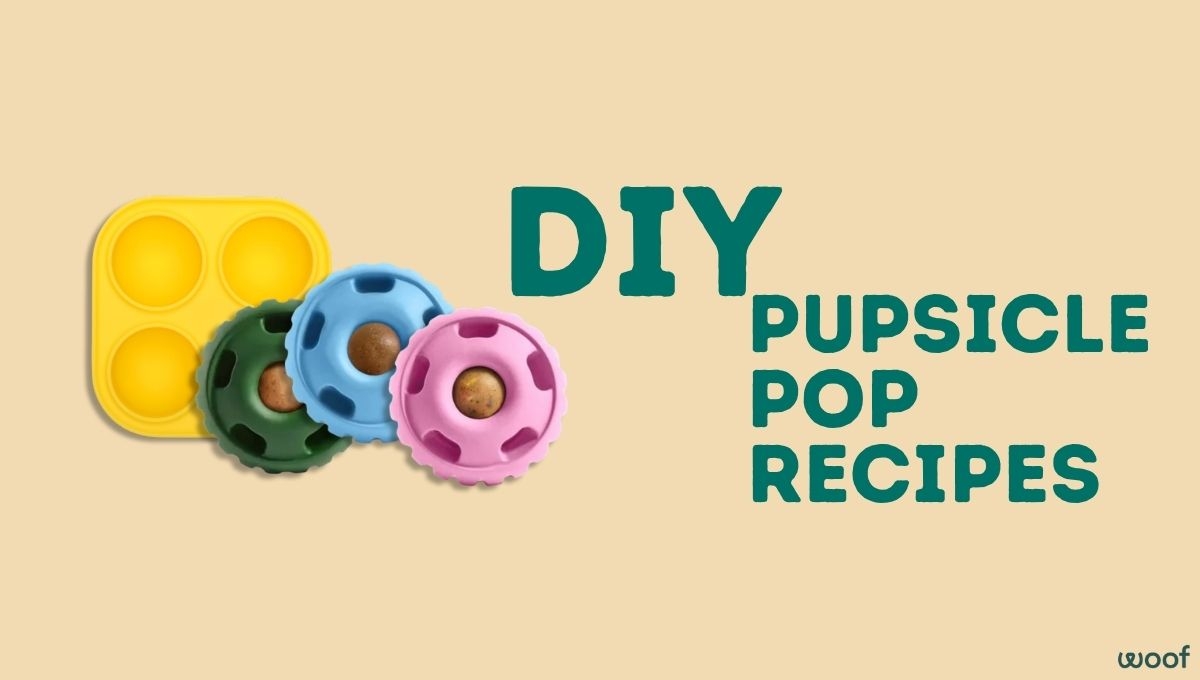 9 Woof Pupsicle Recipes