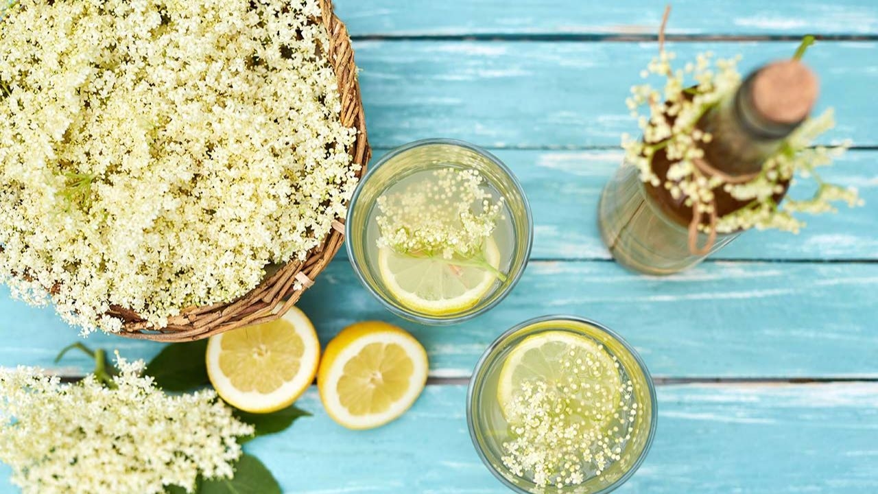 A Simple Elderflower Cordial Recipe