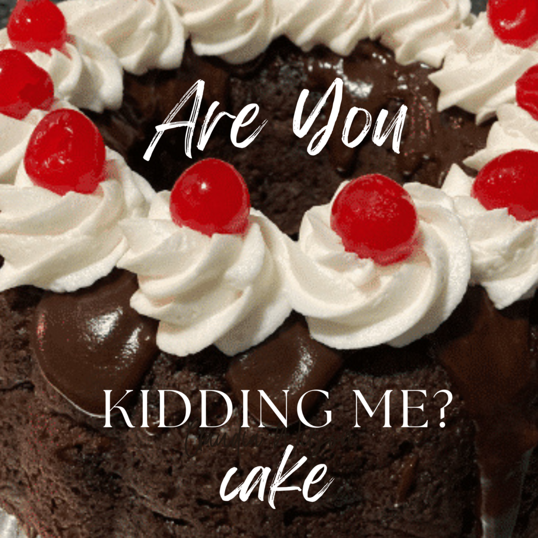 Are You Kidding Me Cake Out Of The Box Baking
