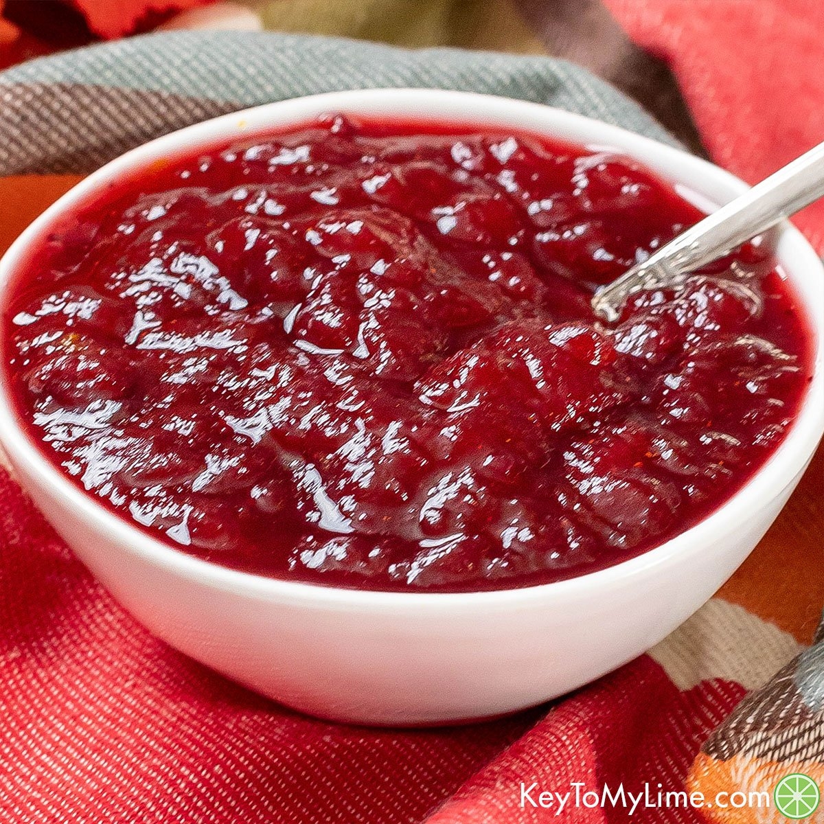 ocean spray cranberry sauce recipe