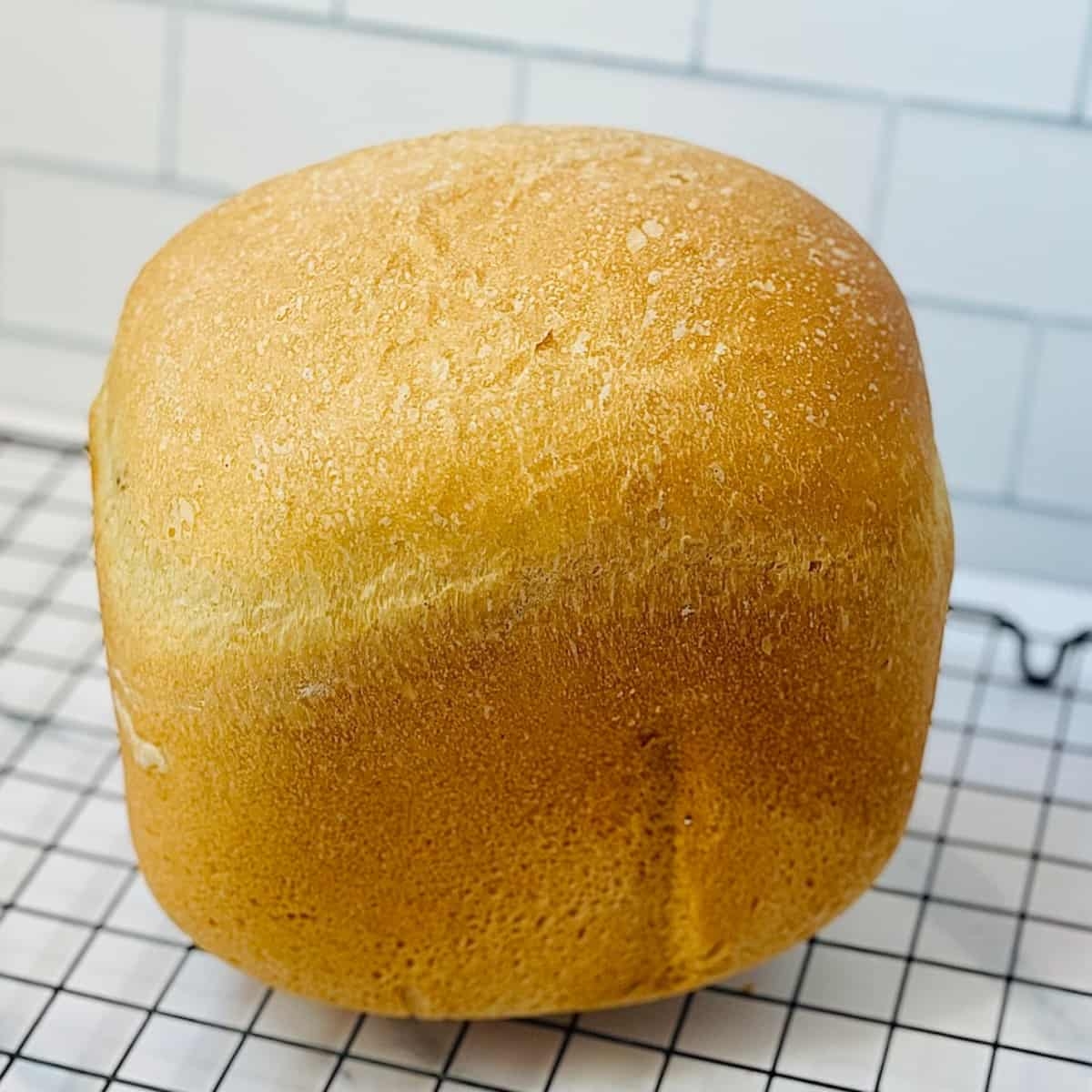bread maker white bread recipe