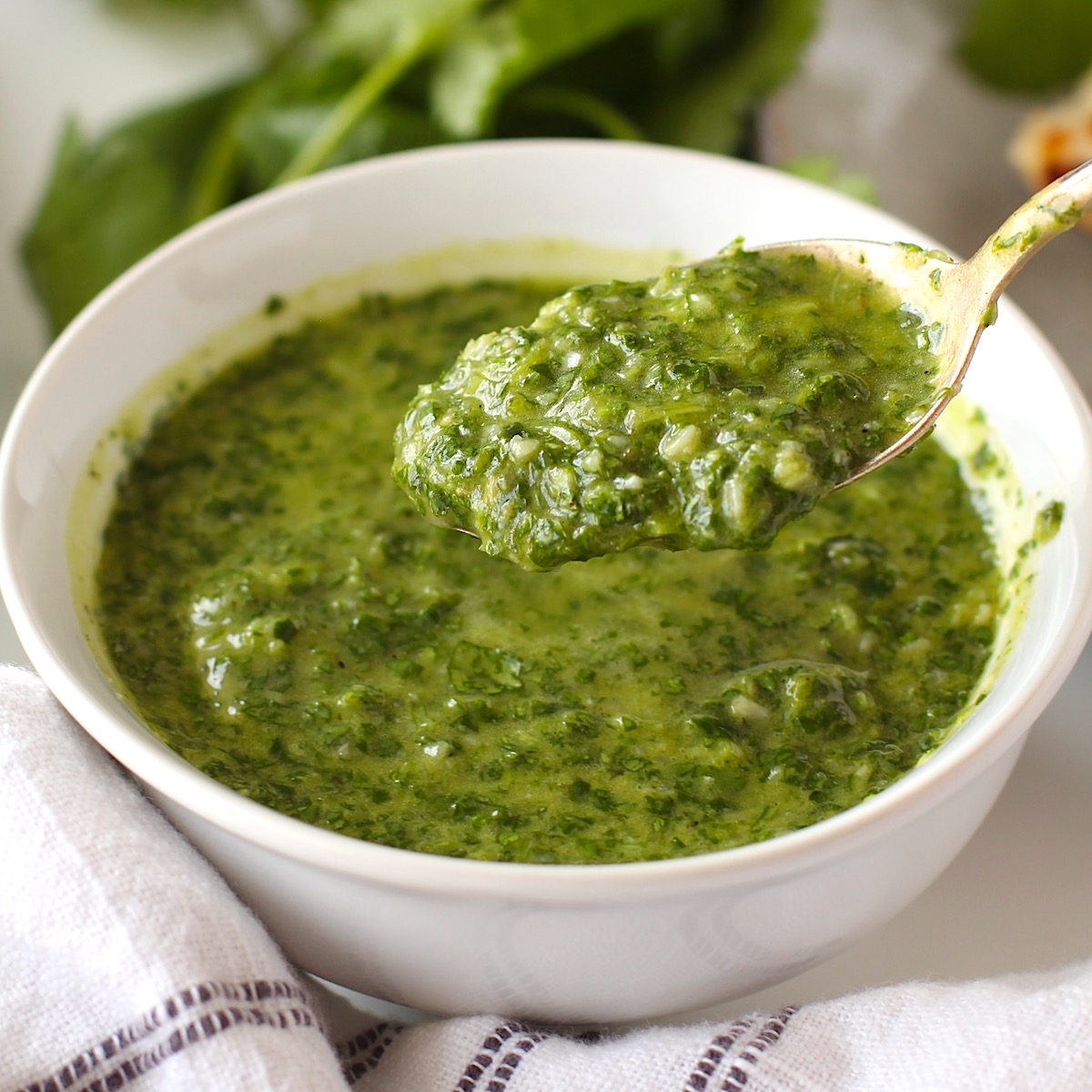 cilantro chimichurri sauce recipe cilantro chimichurri sauce recipe