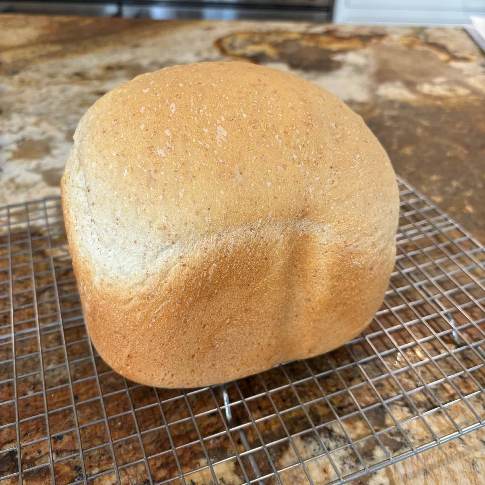 Bread Machine Sourdough Bread No Oven Bread Dad