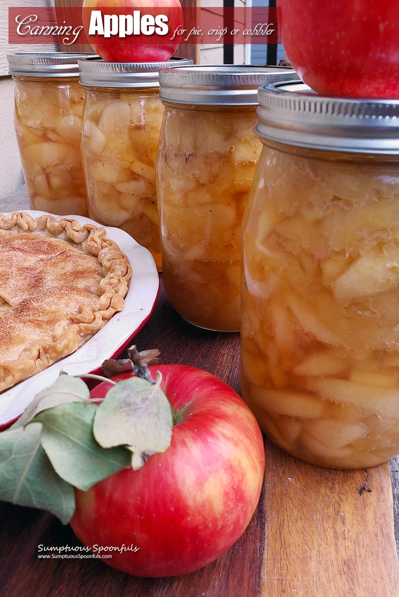 apple canning recipes apple canning recipes