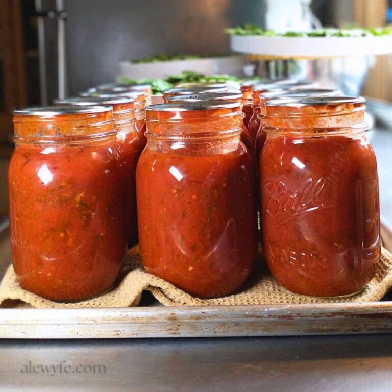 CANNING Homemade Spaghetti Sauce With Meat And Mushrooms ALEWYFE