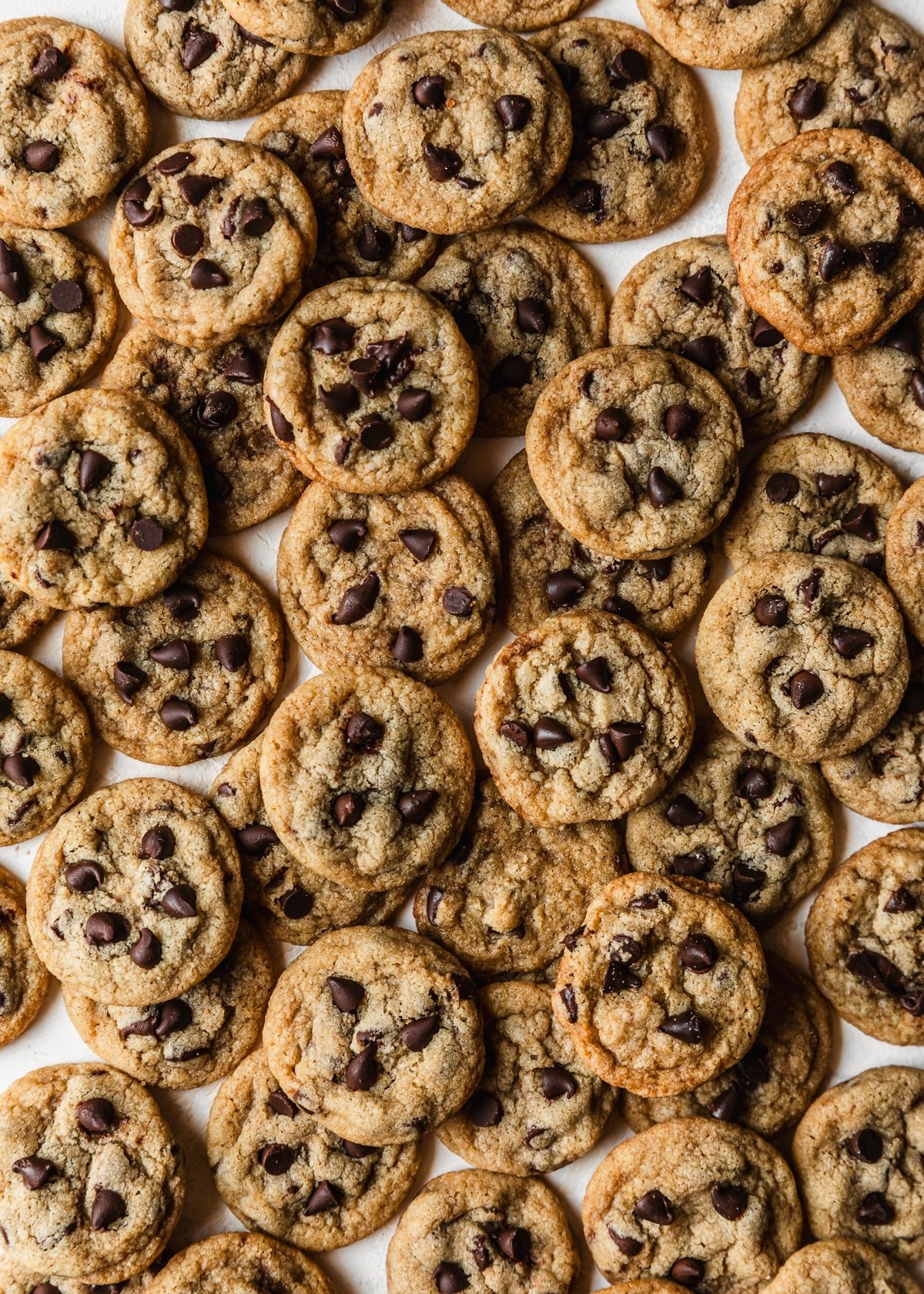 Chewy Mini Chocolate Chip Cookies Sunday Table