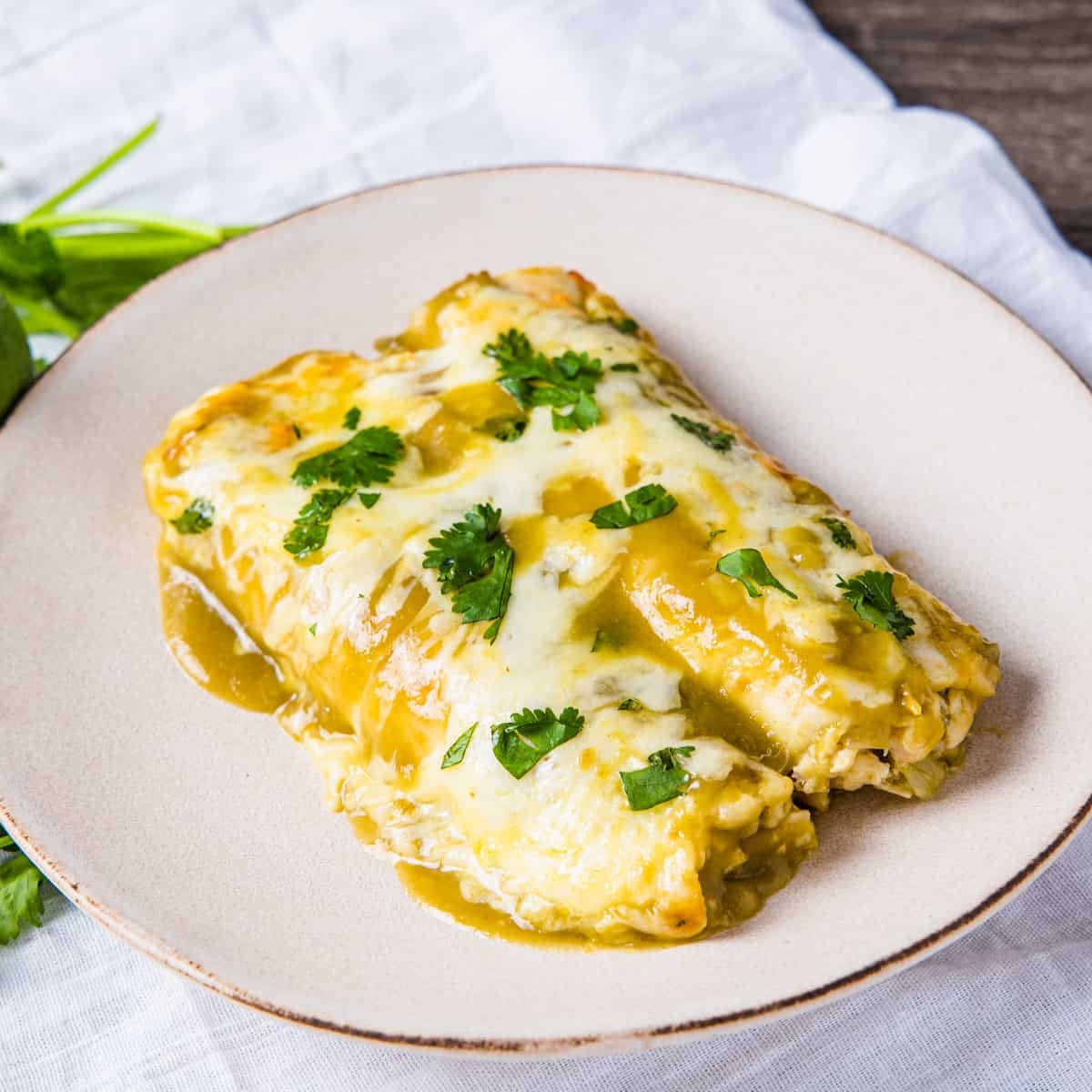 Chicken Enchiladas With Green Sauce Dishes With Dad