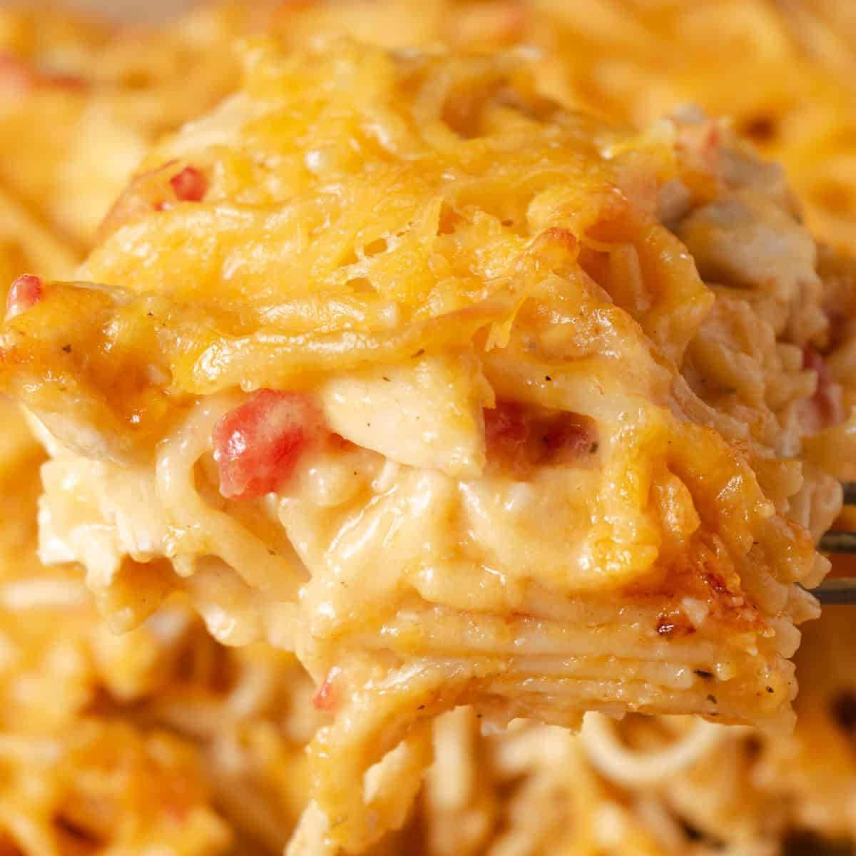 Chicken Spaghetti With Rotel Mandi Of The Mountains