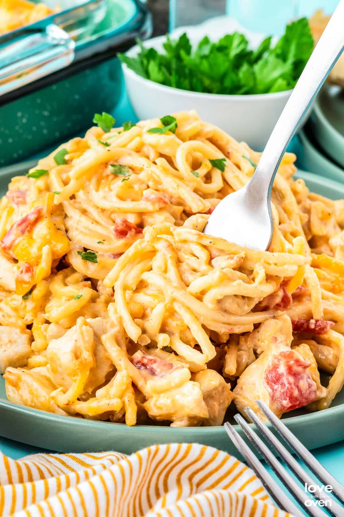 Chicken Spaghetti With Rotel Story Love From The Oven