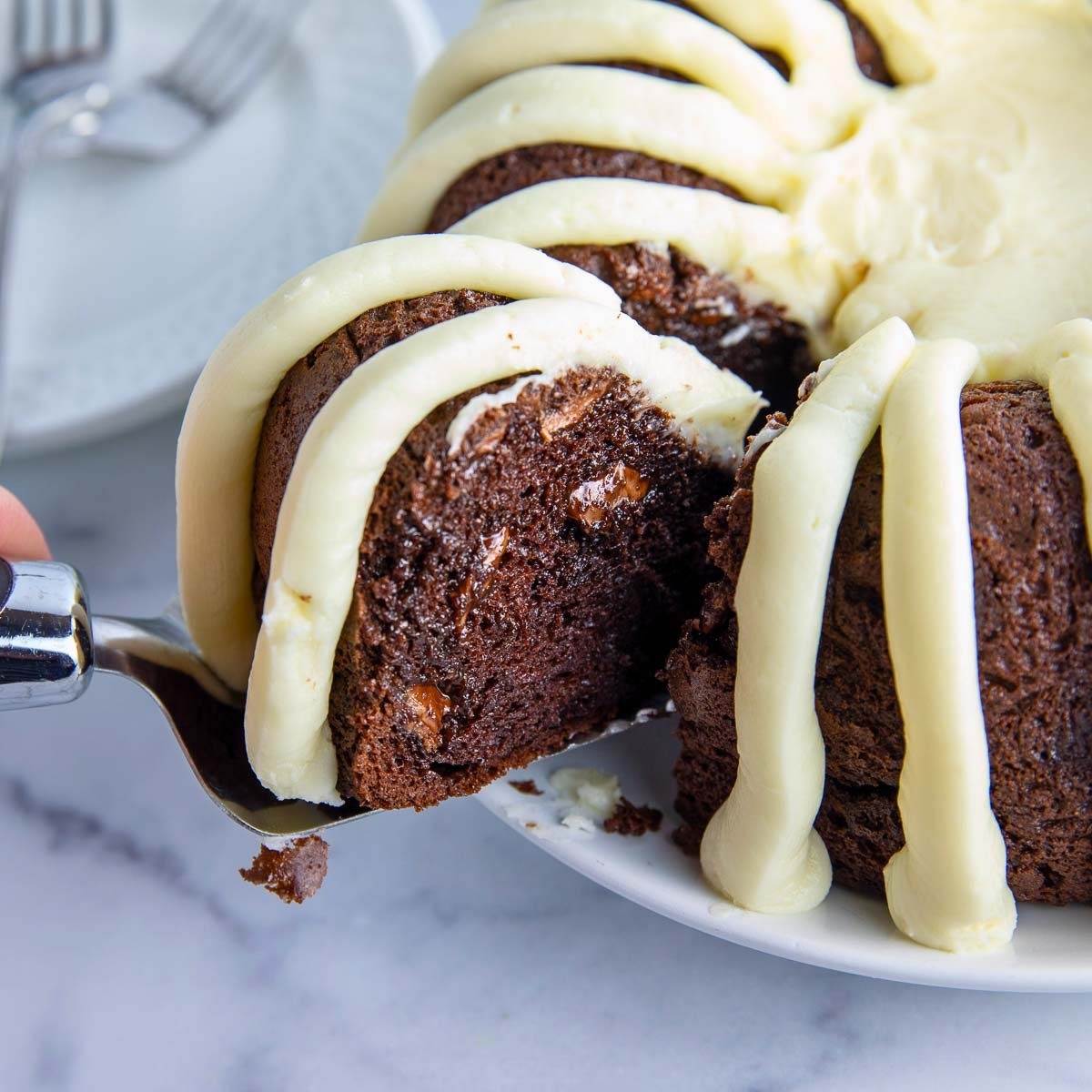 Chocolate Chocolate Chip Nothing Bundt Cake Copycat CenterCutCook