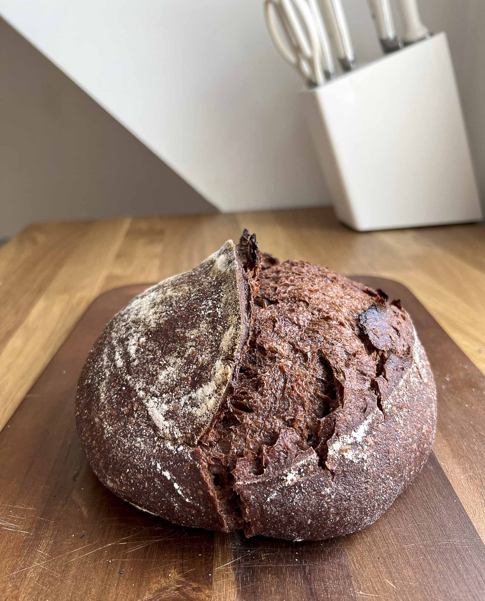 Chocolate Sourdough Bread with Cacao Jesha s