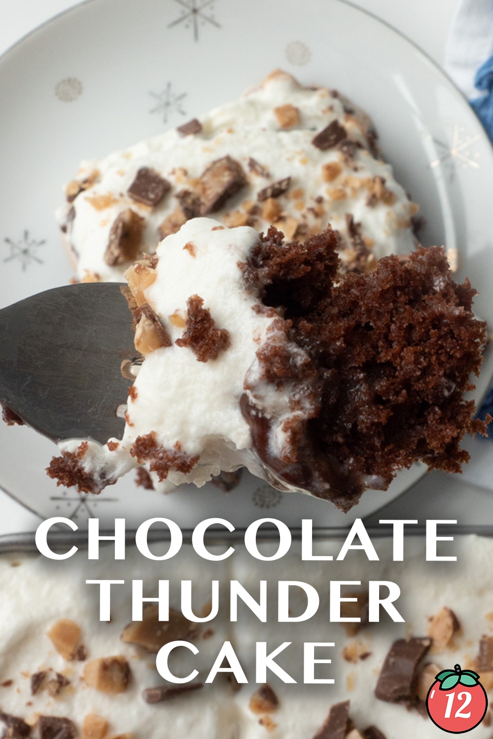 Chocolate Thunder Cake 12 Tomatoes
