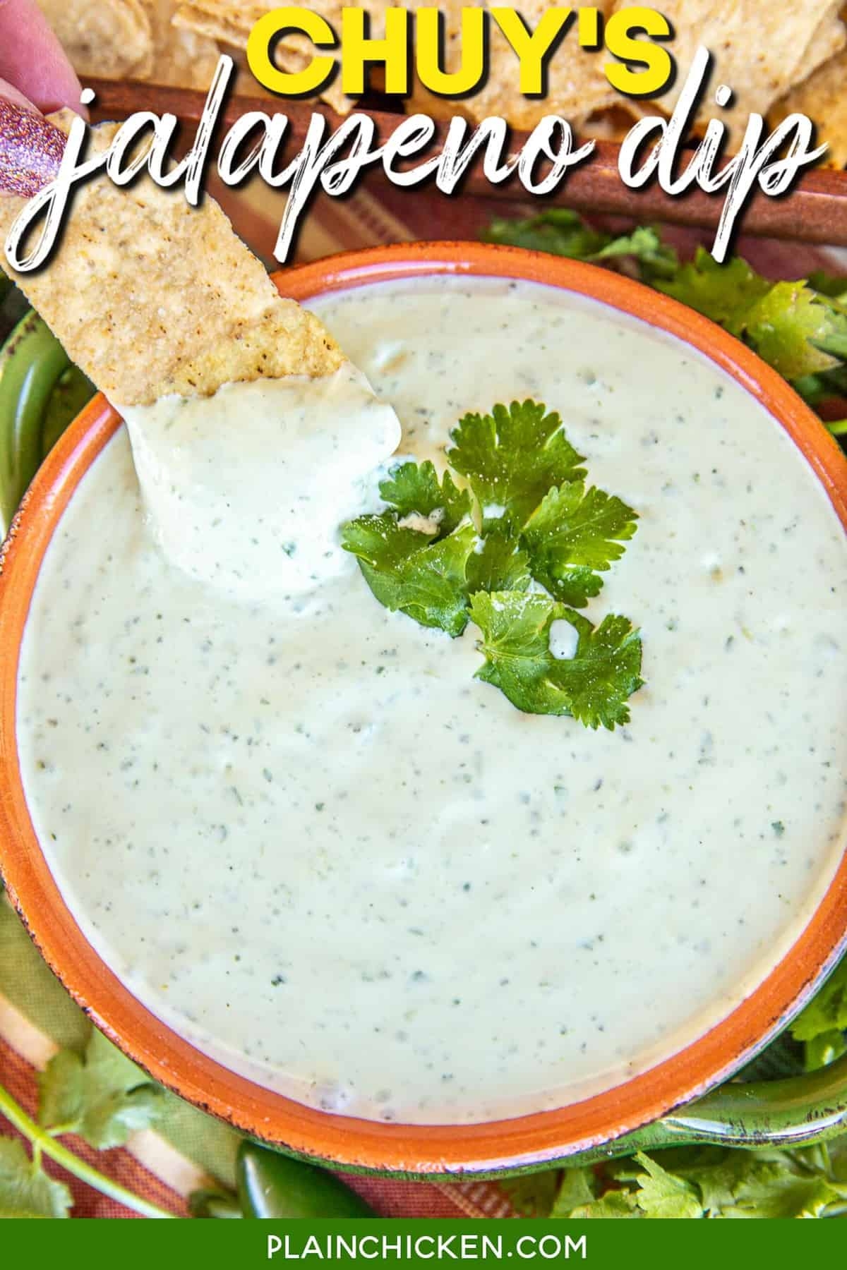 Chuy s Jalapeno Dip Plain Chicken