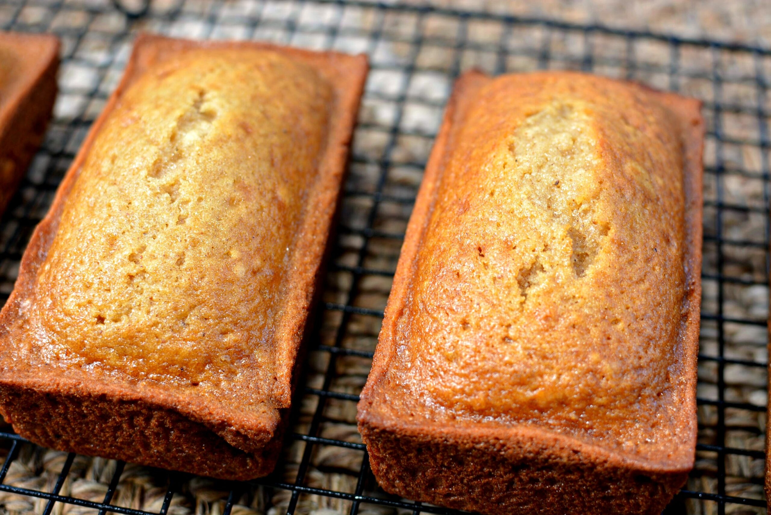 applesauce bread recipe