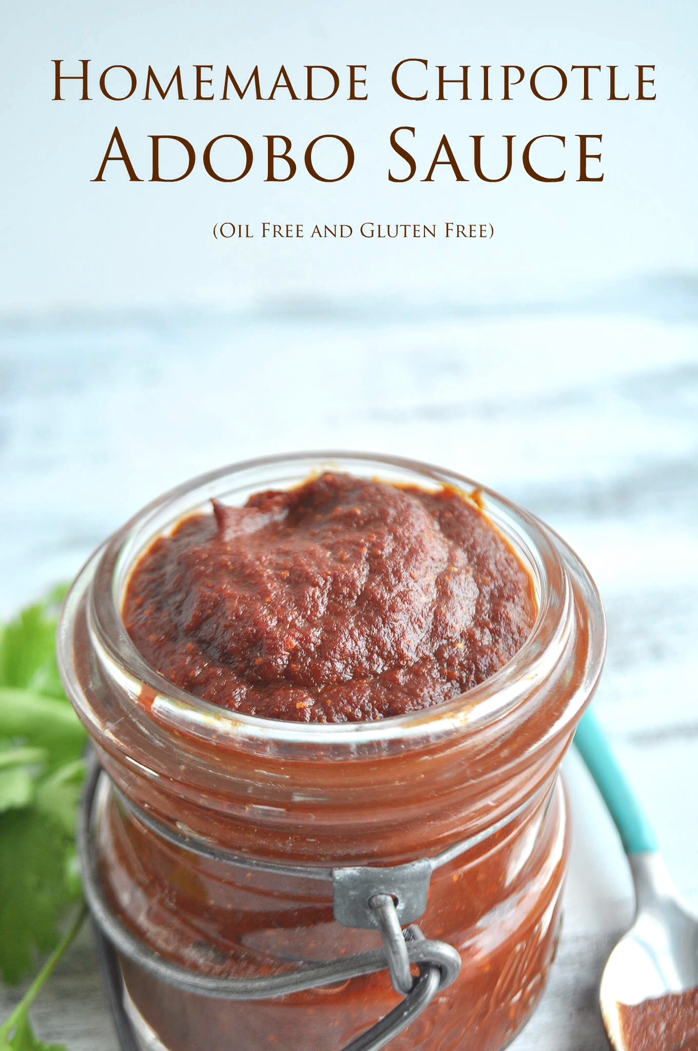 Clean Version Of Chipotle Adobo Sauce Oil Free And Gluten Free The Organic Dietitian
