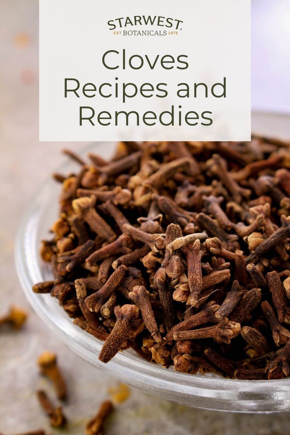 Cloves Recipes And Remedies Starwest Botanicals Starwest Botanicals