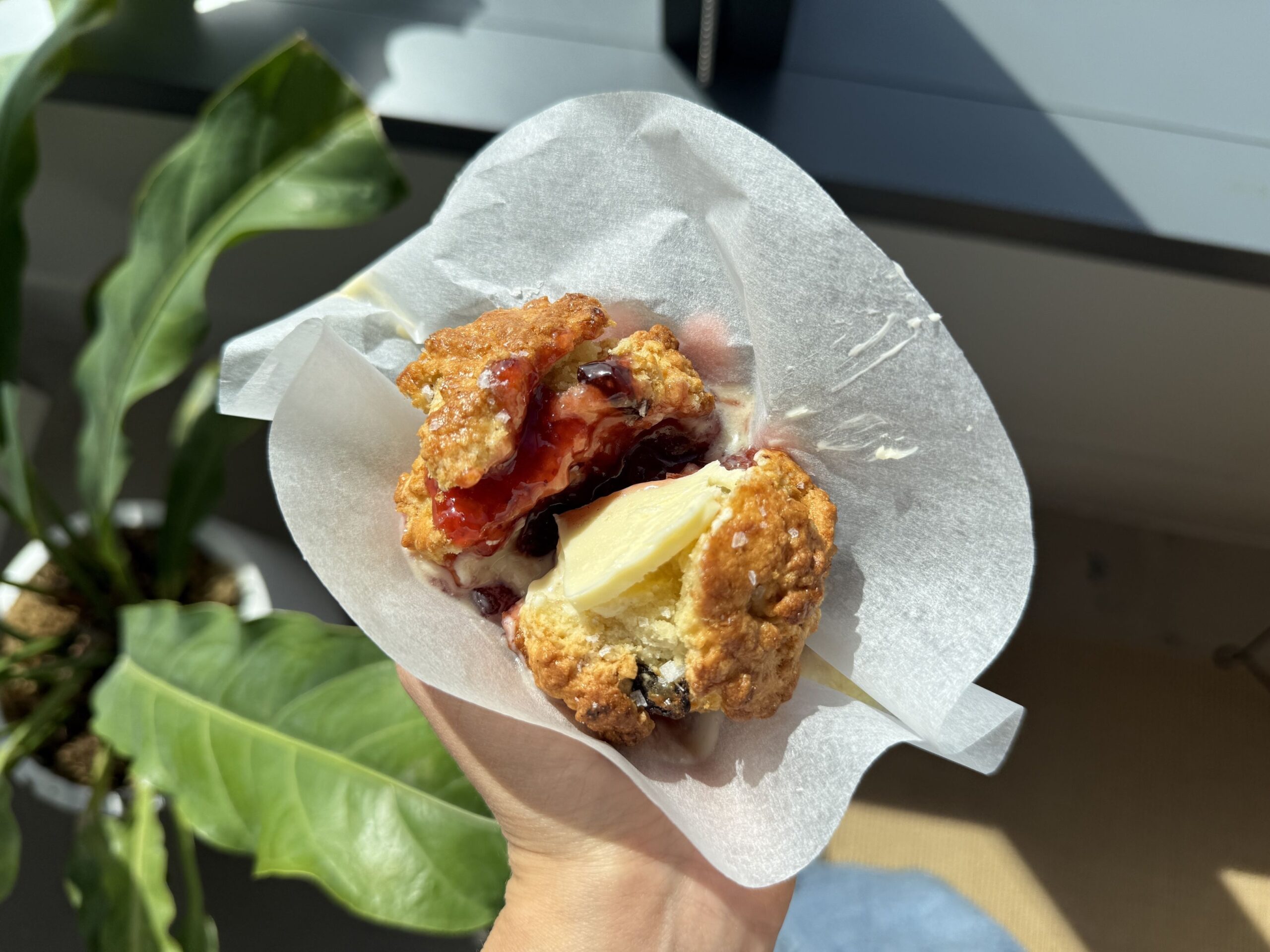 Copycat Mary O s Irish Soda Bread Scones