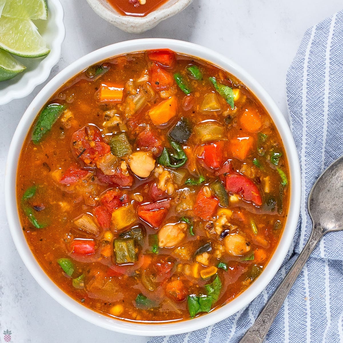 Copycat Panera 10 Vegetable Soup Recipe Intentional Hospitality