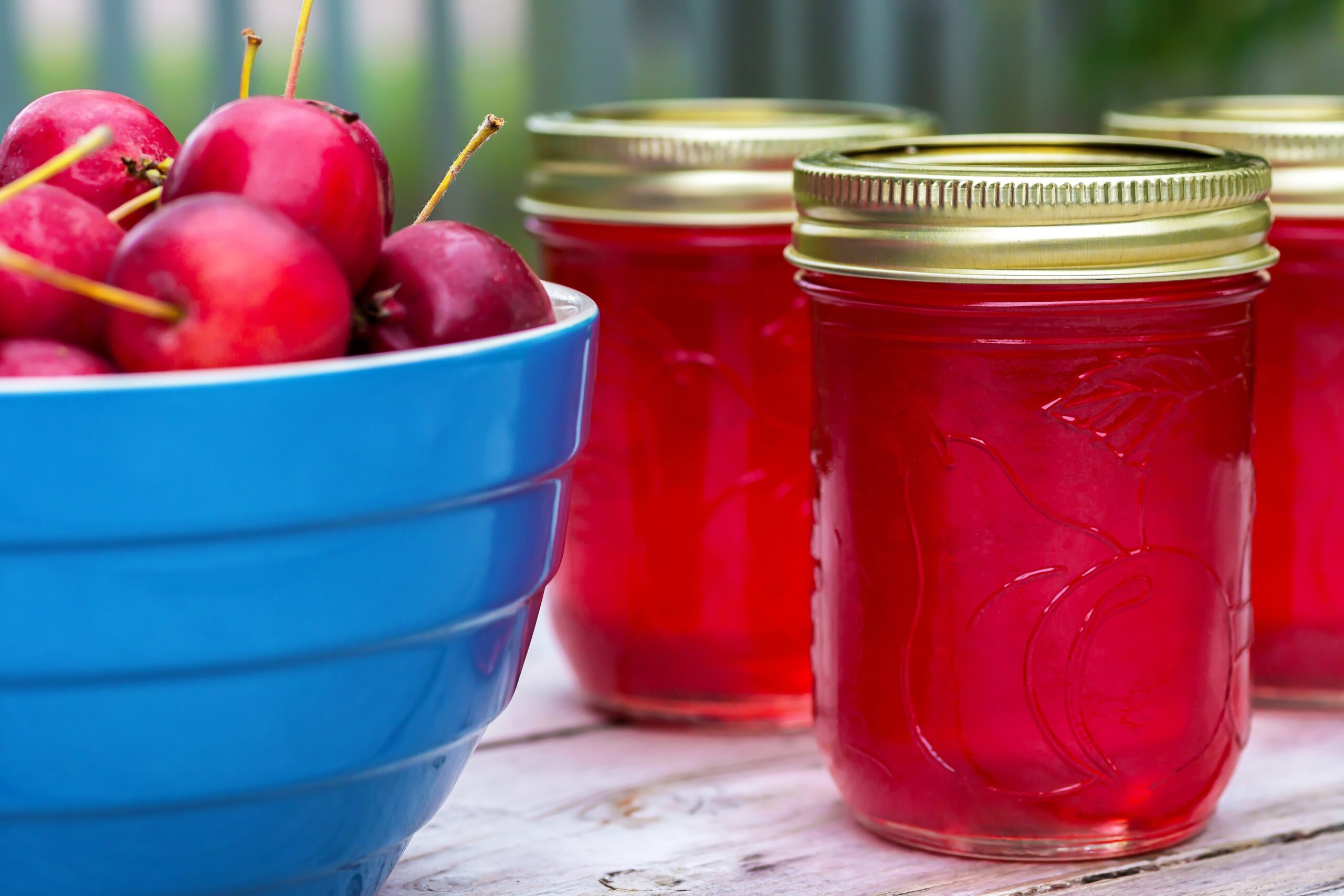 crab apple jelly recipe crab apple jelly recipe