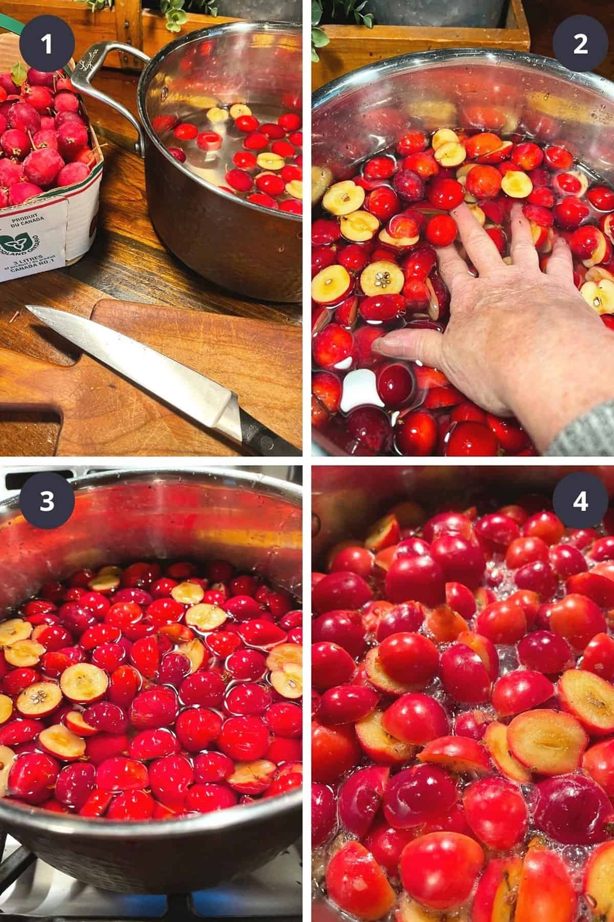 Crab Apple Jelly Seasons And Suppers Crab Apple Jelly Seasons And Suppers