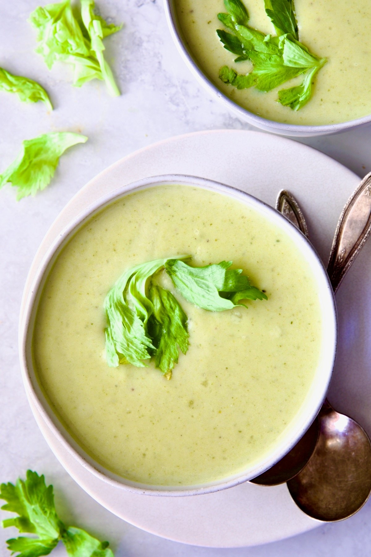 Cream Of Celery Leaves Soup Recipe From A Chef s Kitchen