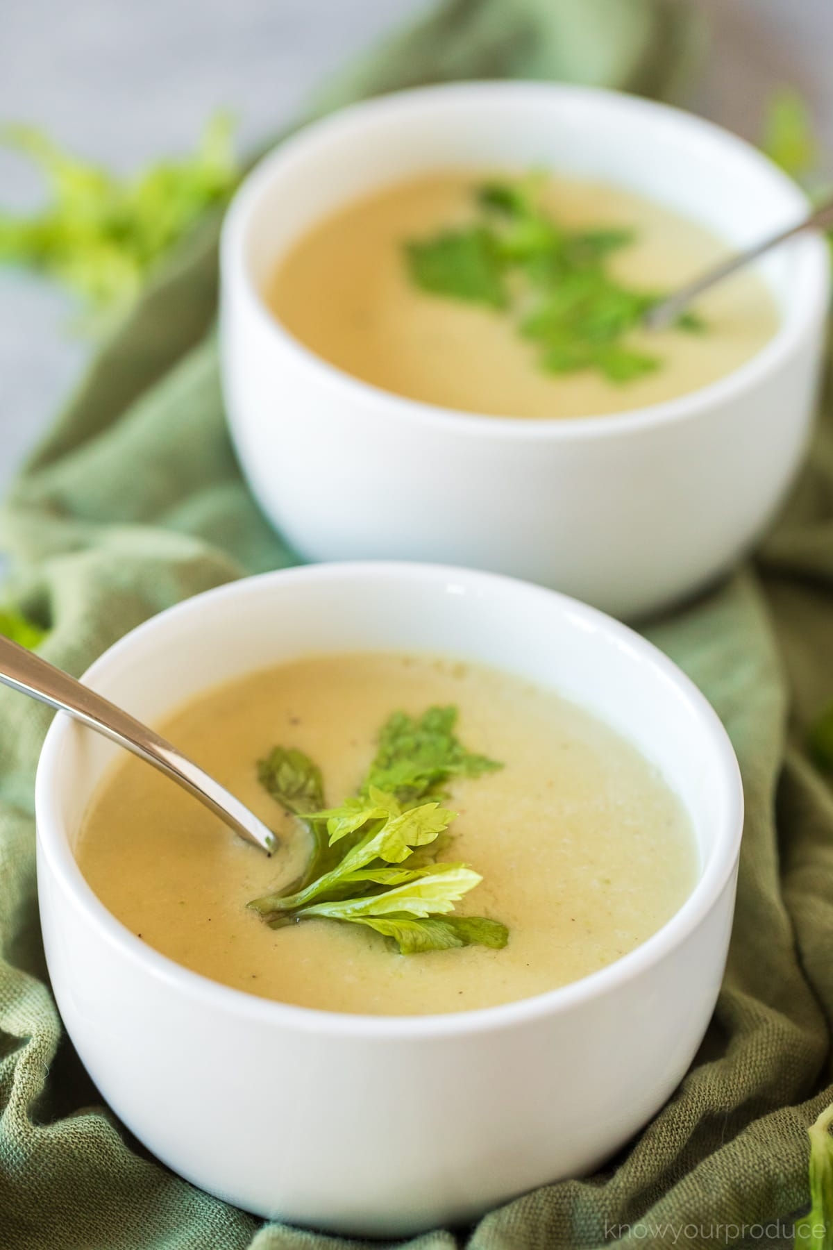 Cream Of Celery Soup Know Your Produce