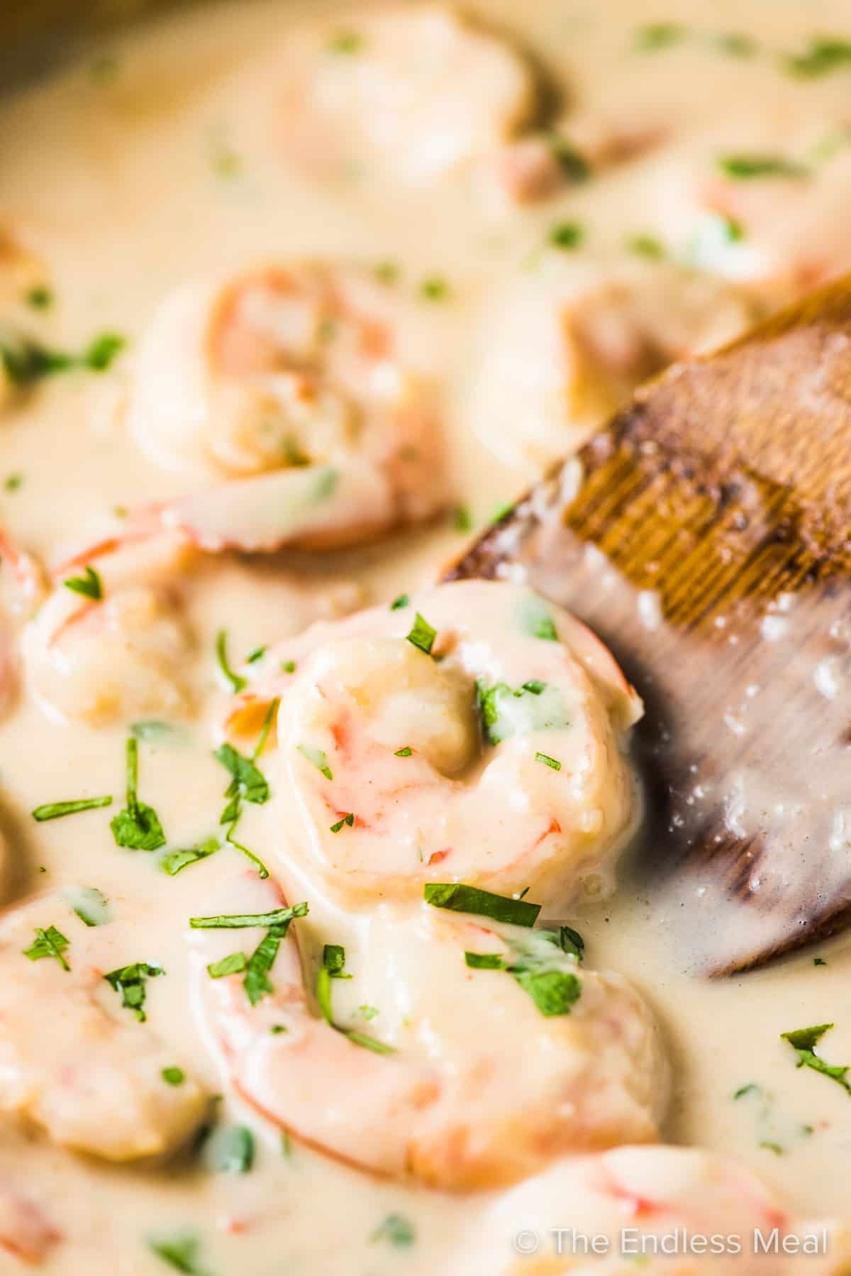 Creamy Coconut Lime Shrimp 15 Minute Recipe The Endless Meal 