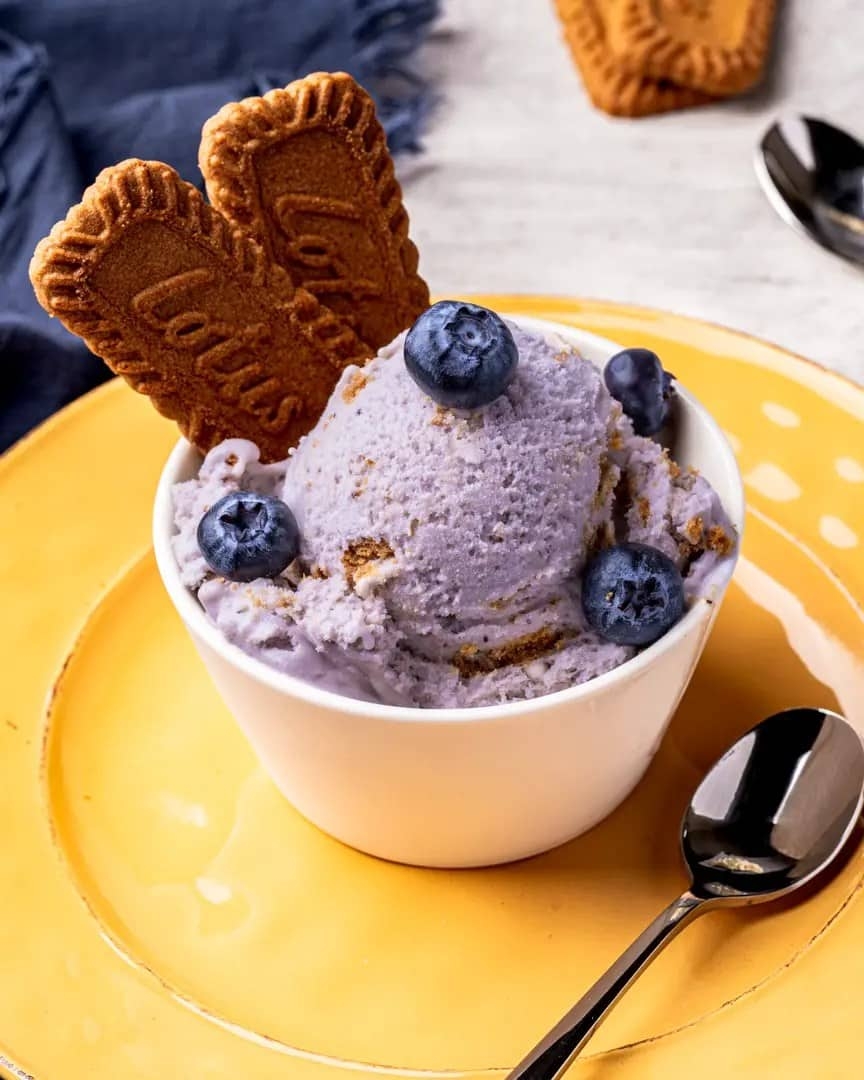 Cuisinart Ice Cream Maker Recipes Kate The Baker