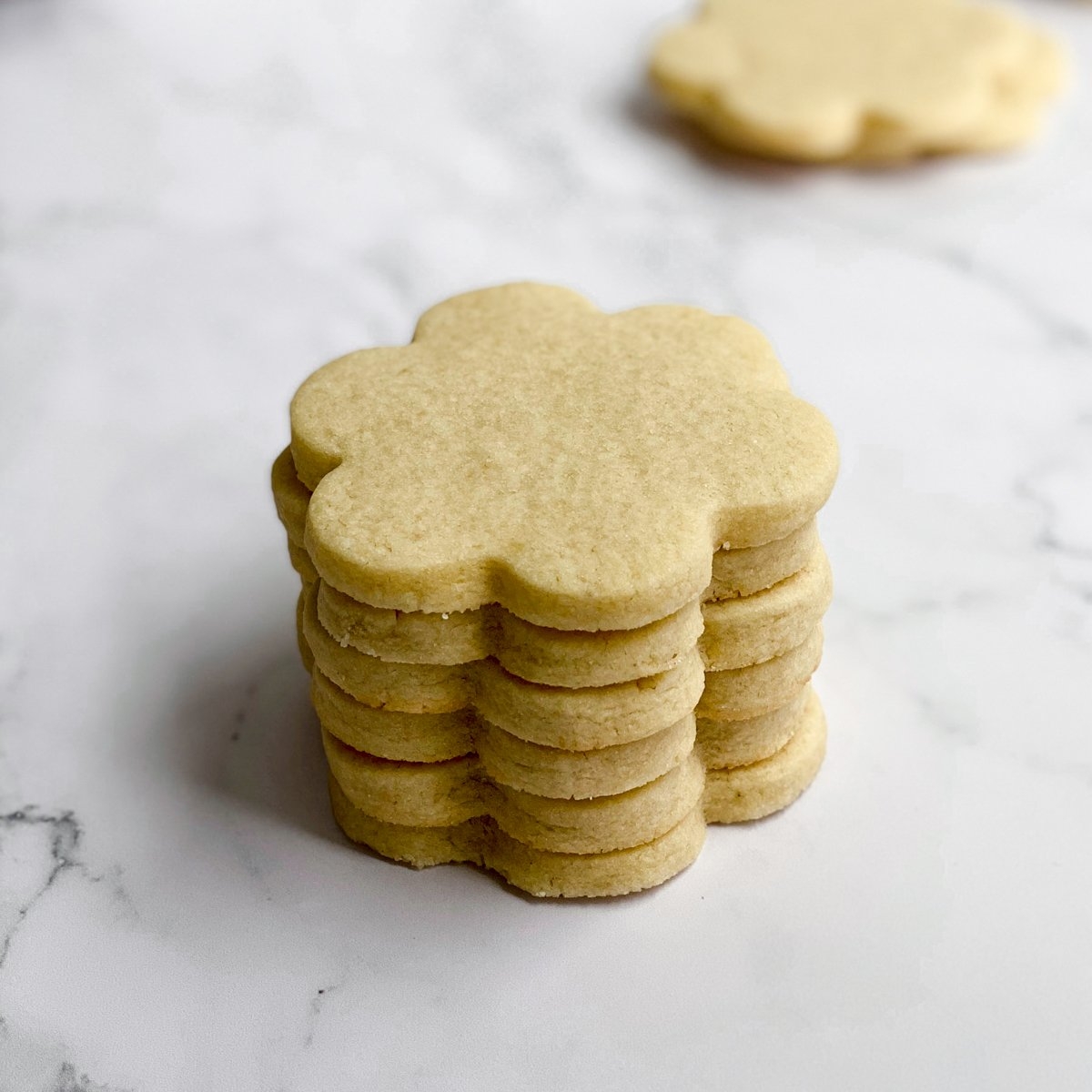 Cut Out Sugar Cookies without Baking Powder Or Baking Soda The Salted Sweets