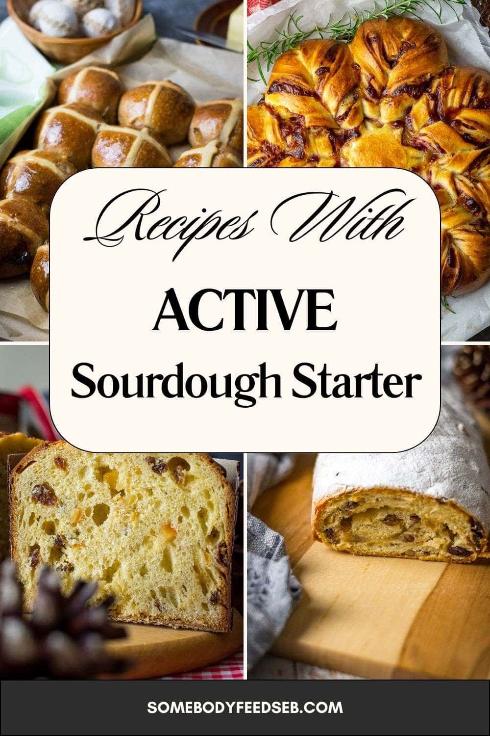 Delicious Recipes Using Active Sourdough Starter Somebody Feed Seb