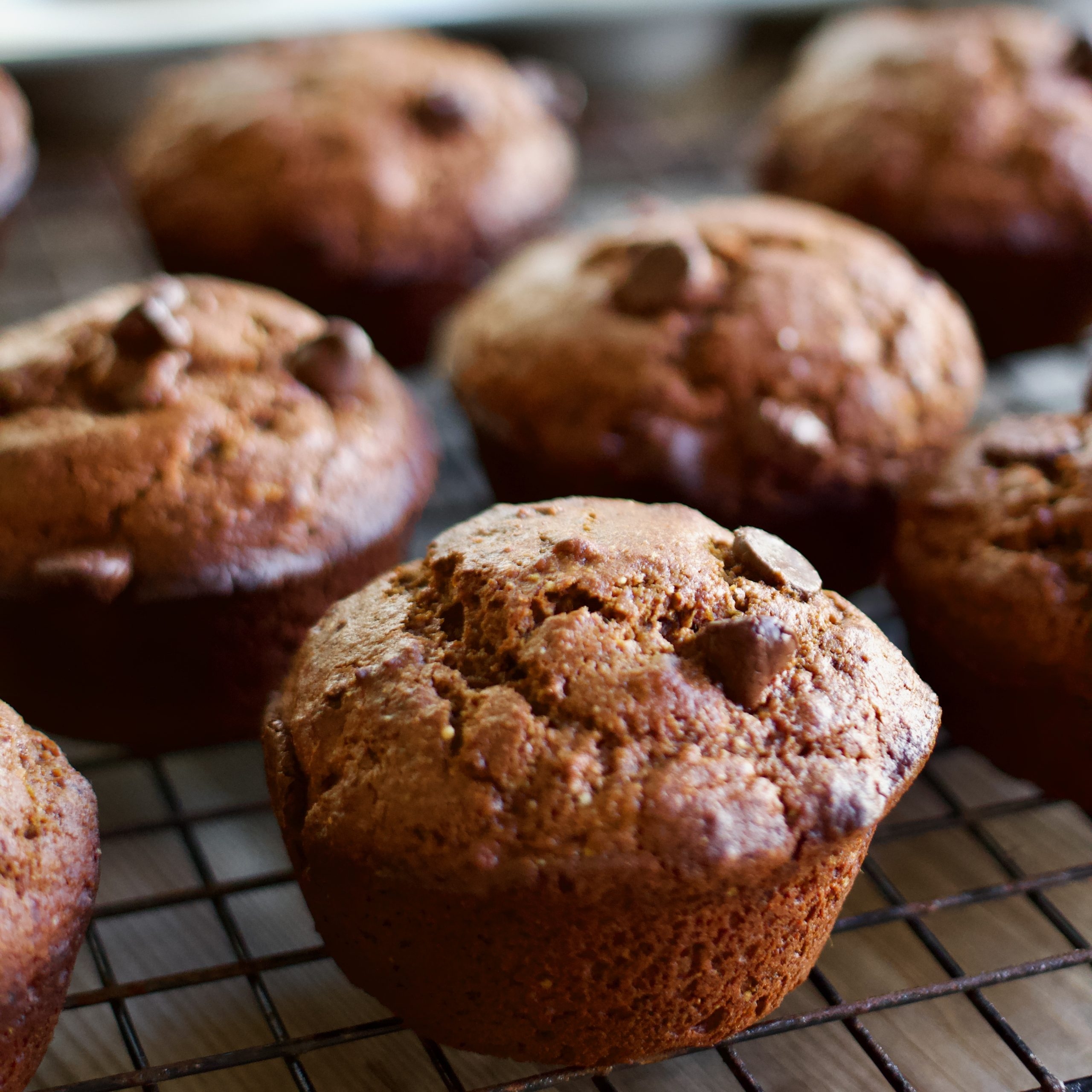 kodiak muffins recipe kodiak muffins recipe