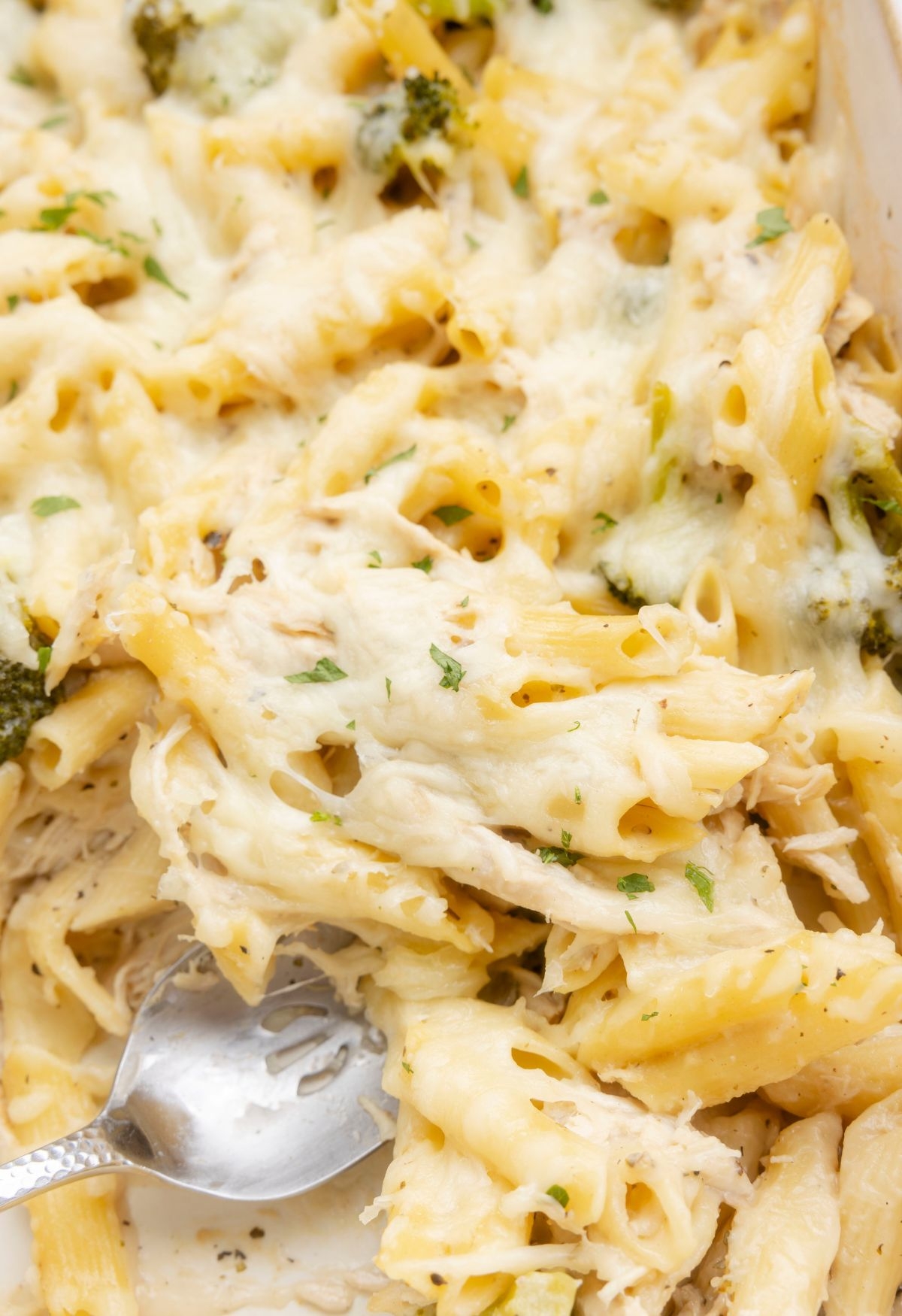 baked chicken with alfredo sauce recipe baked chicken with alfredo sauce recipe