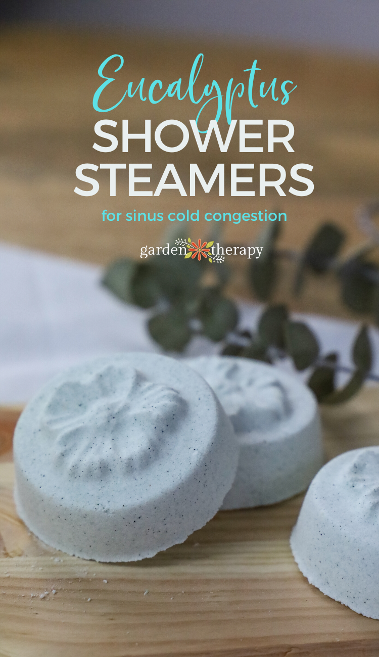 Ease Congestion With These DIY Eucalyptus Shower Steamers Garden Therapy Ease Congestion With These DIY Eucalyptus Shower Steamers Garden Therapy