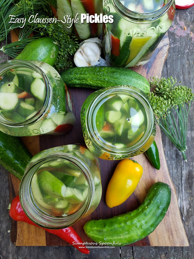 Easy Claussen Style Pickles Probiotics Fermentation