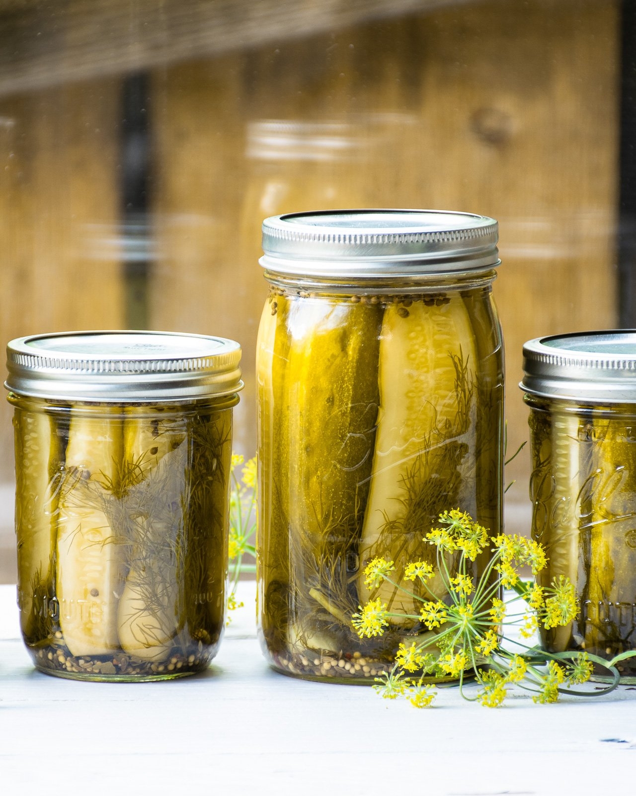 Easy Dill Pickles Blue Jean Chef Meredith Laurence Easy Dill Pickles Blue Jean Chef Meredith Laurence