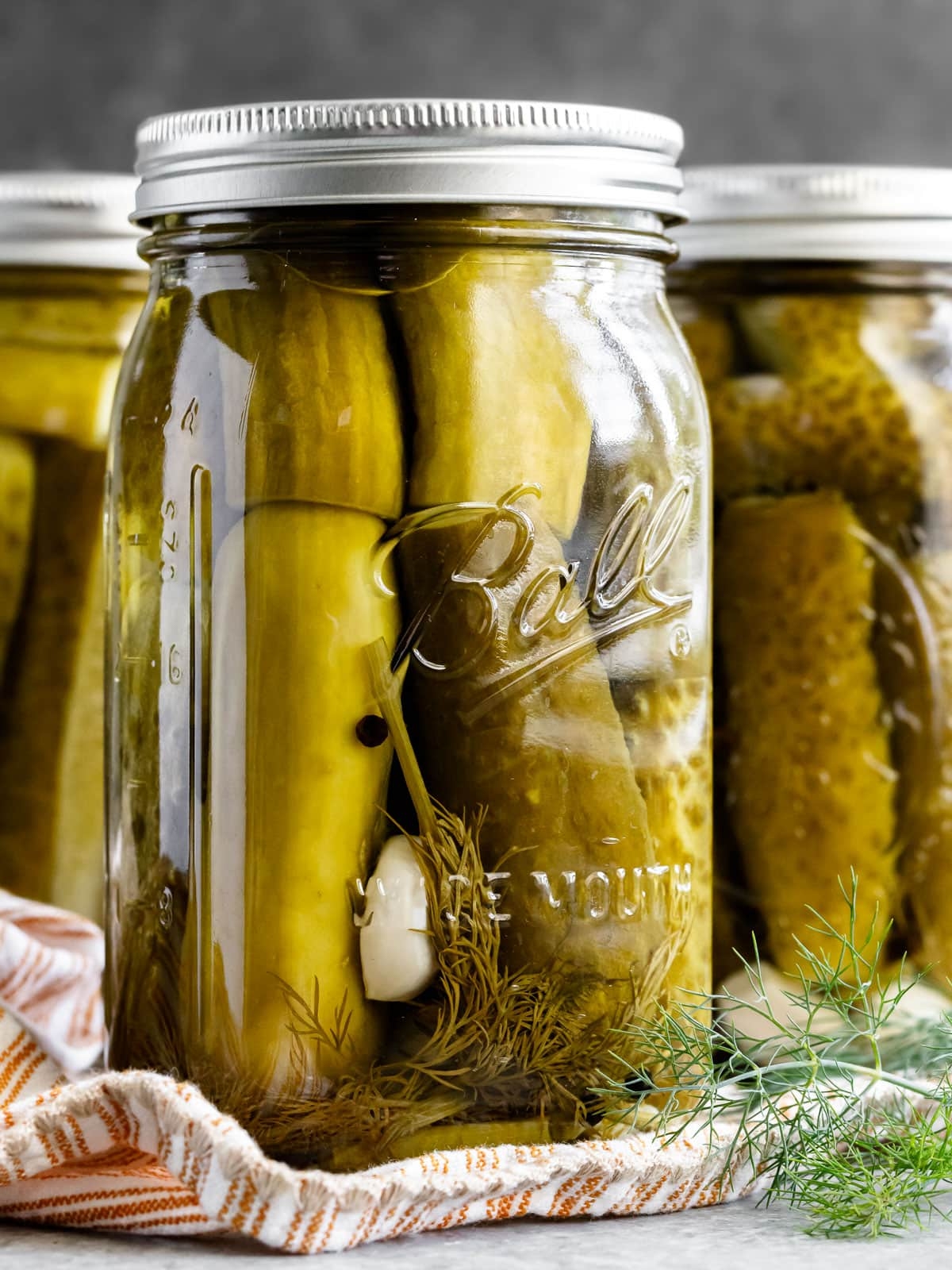 Easy Homemade Dill Pickles Olga In The Kitchen