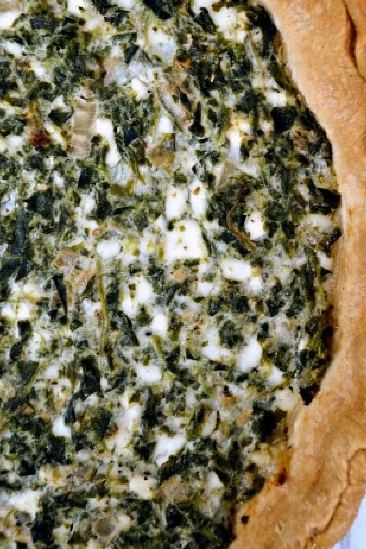 Easy Spinach Pie Recipe Easy Spinach Pie Recipe