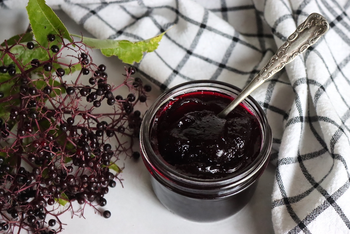 elderberry jelly recipe