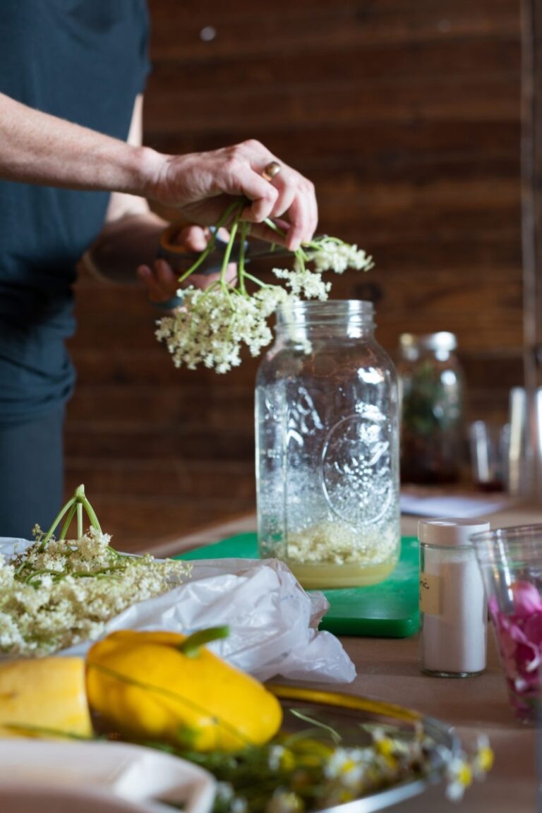 Elderflower Cordial Herbal Drinks Recipes Botanical Kitchen