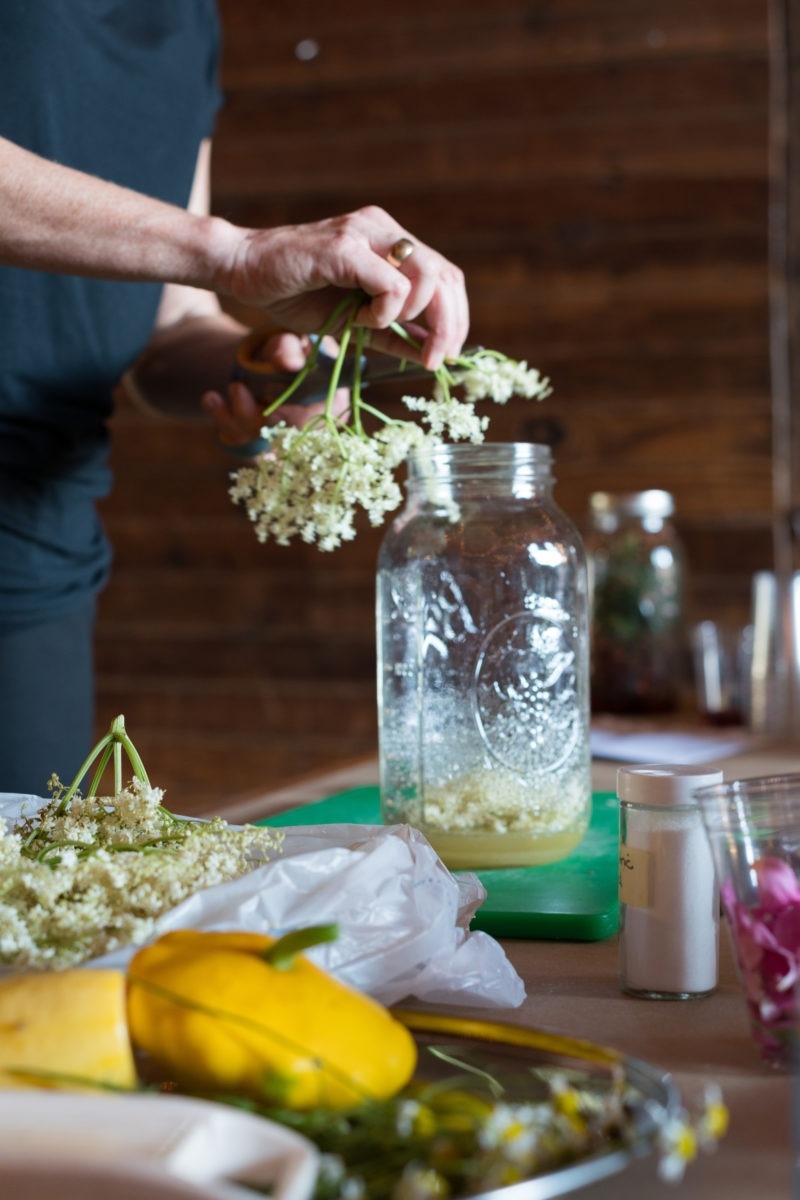 Elderflower Cordial Herbal Drinks Recipes Botanical Kitchen