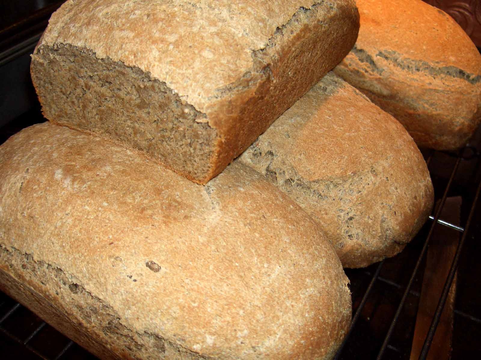 Ezekiel Bread Ezekiel 4 9 Recipe Food