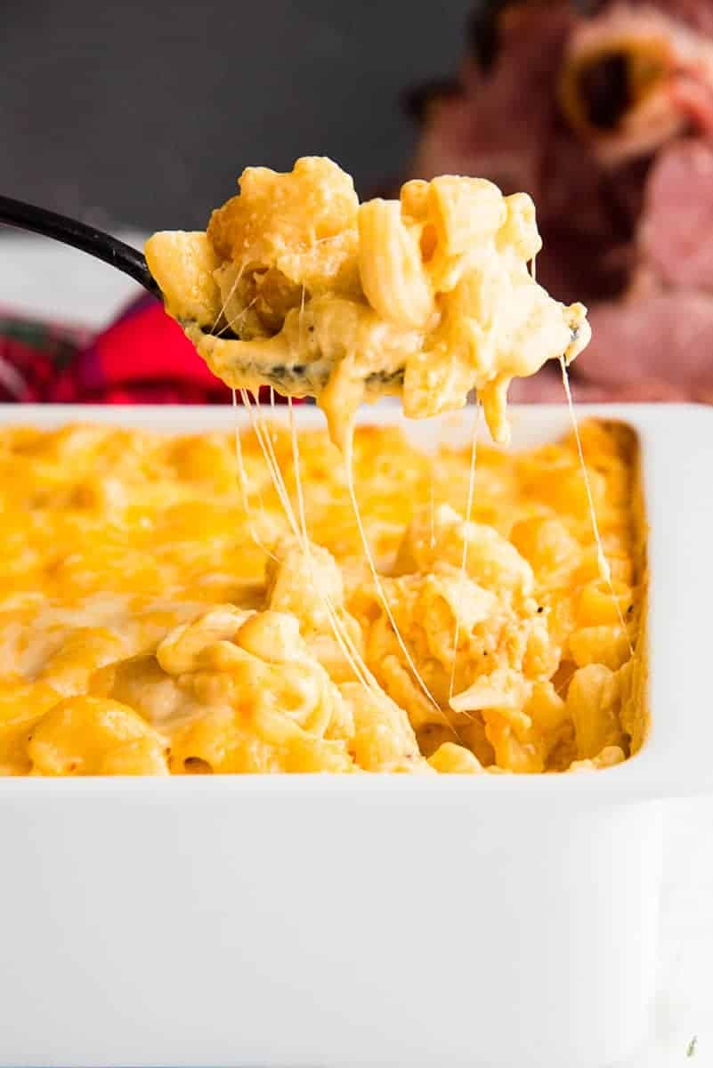 Five Cheese Baked Macaroni And Cheese Sense Edibility