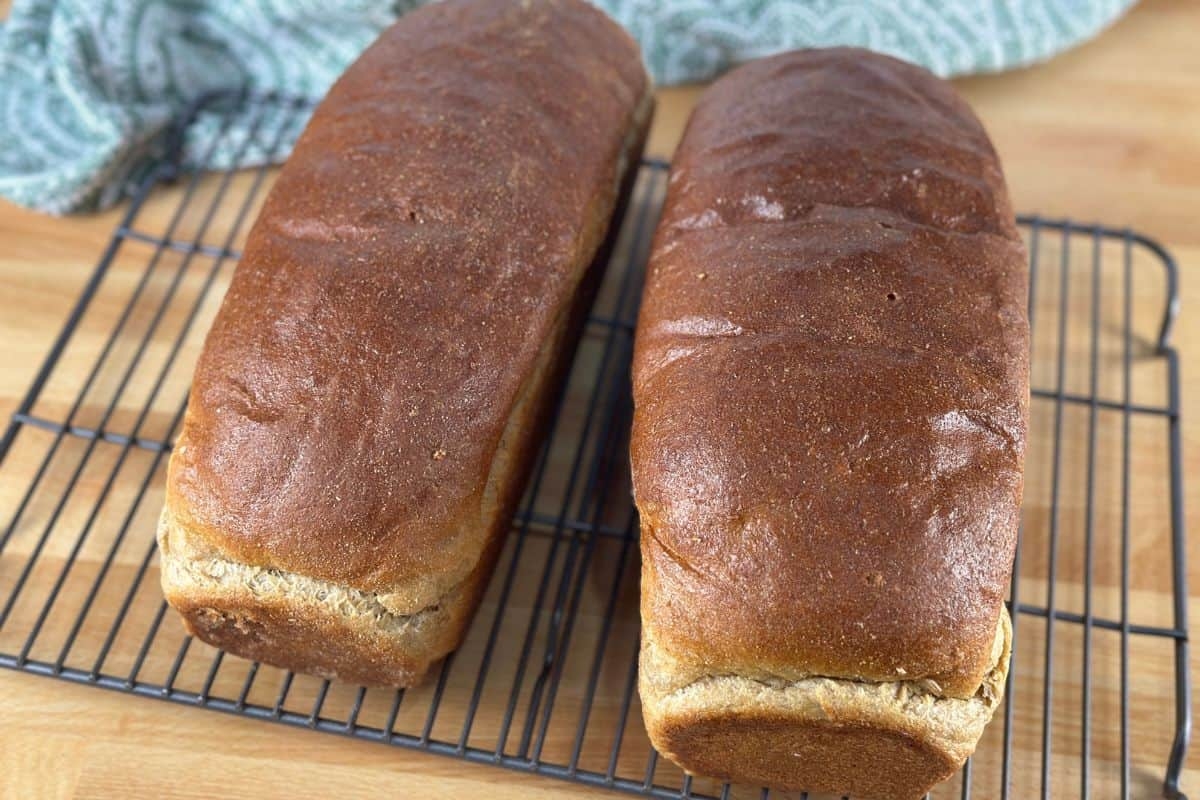 Fresh Milled Flour Bread Recipe Perfect Sandwich Loaf Heritage Revived