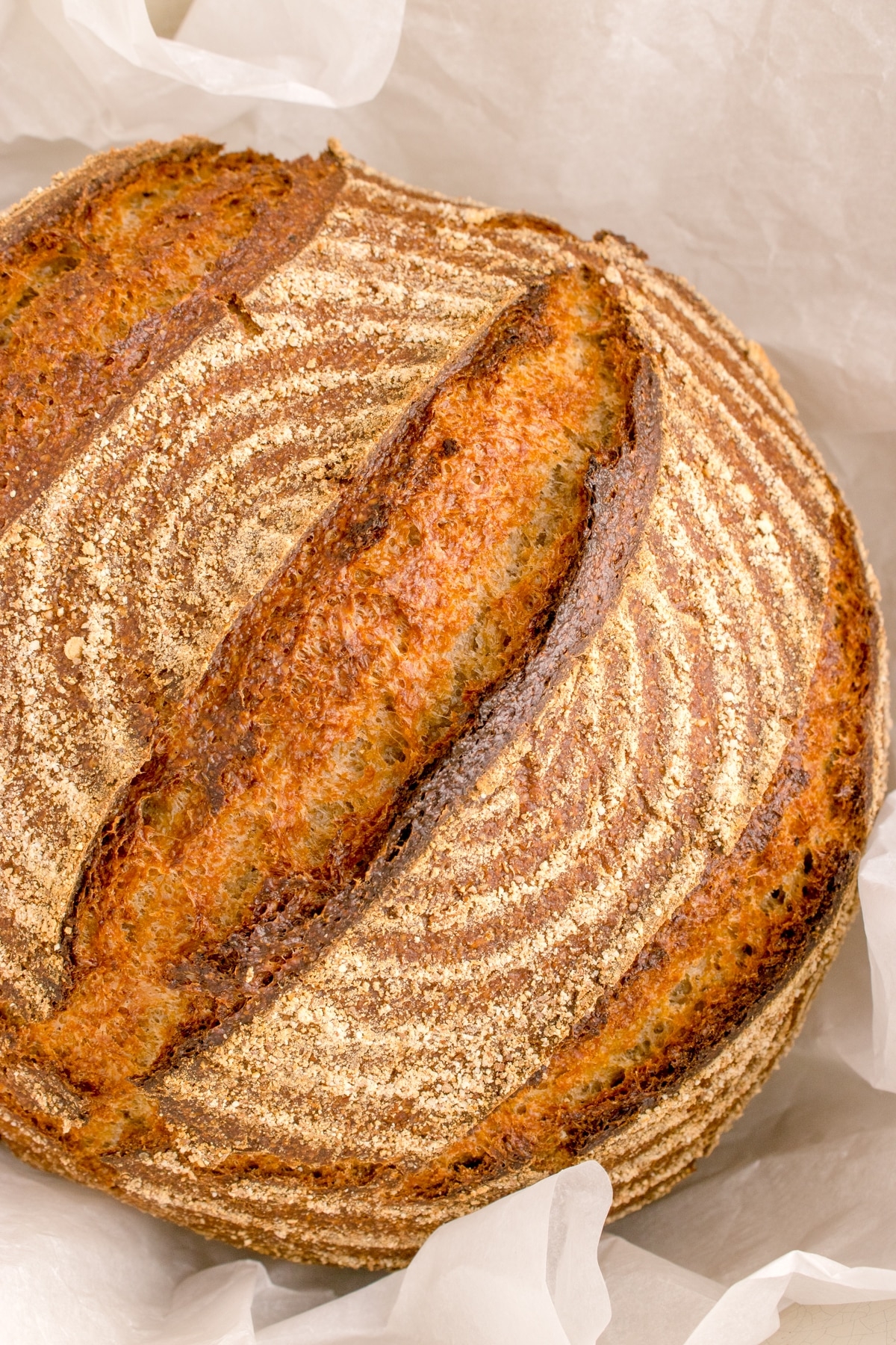 German Rye Sourdough Bread The Gingered Whisk German Rye Sourdough Bread The Gingered Whisk