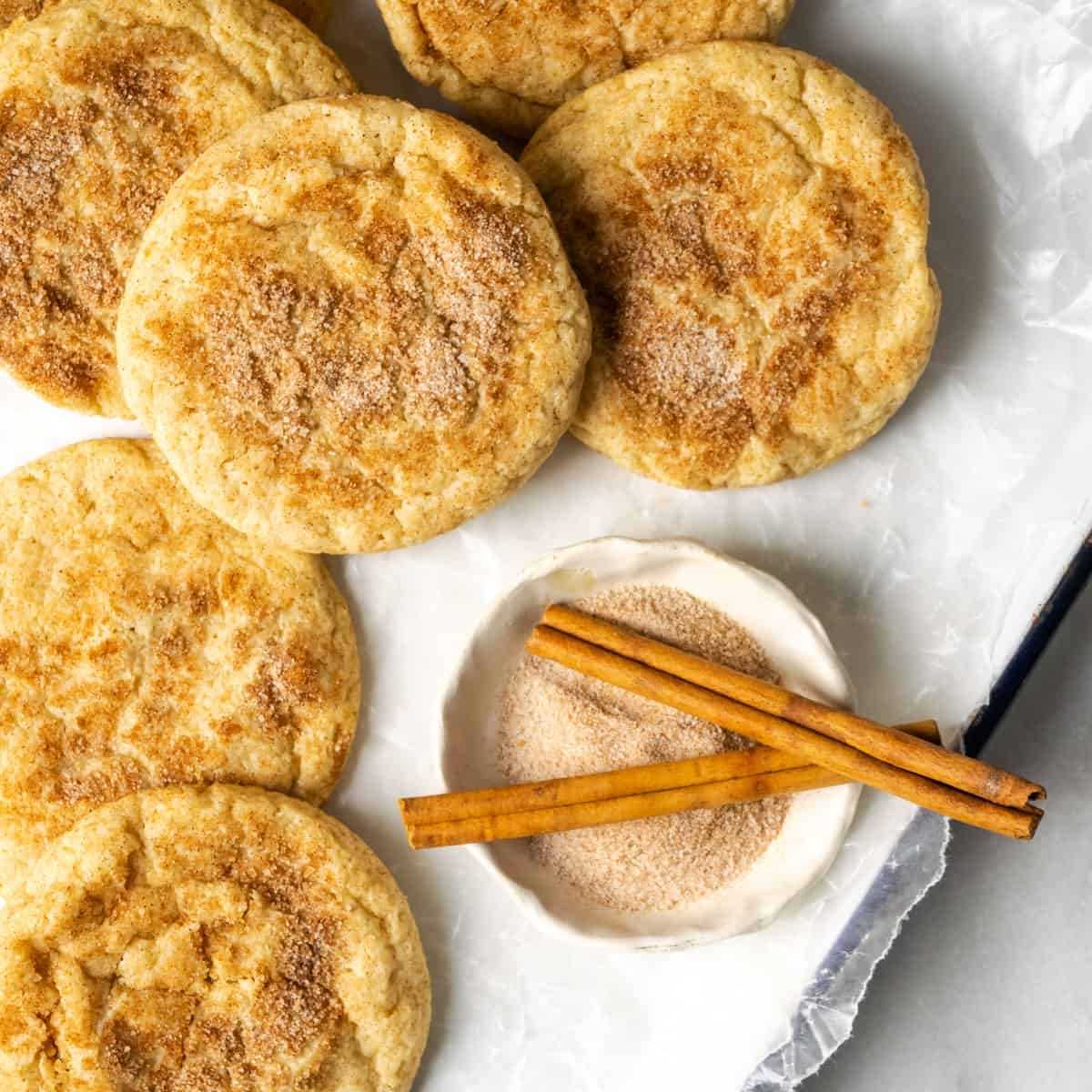 Gluten Free Cinnamon Sugar Cookies Well Fed Baker
