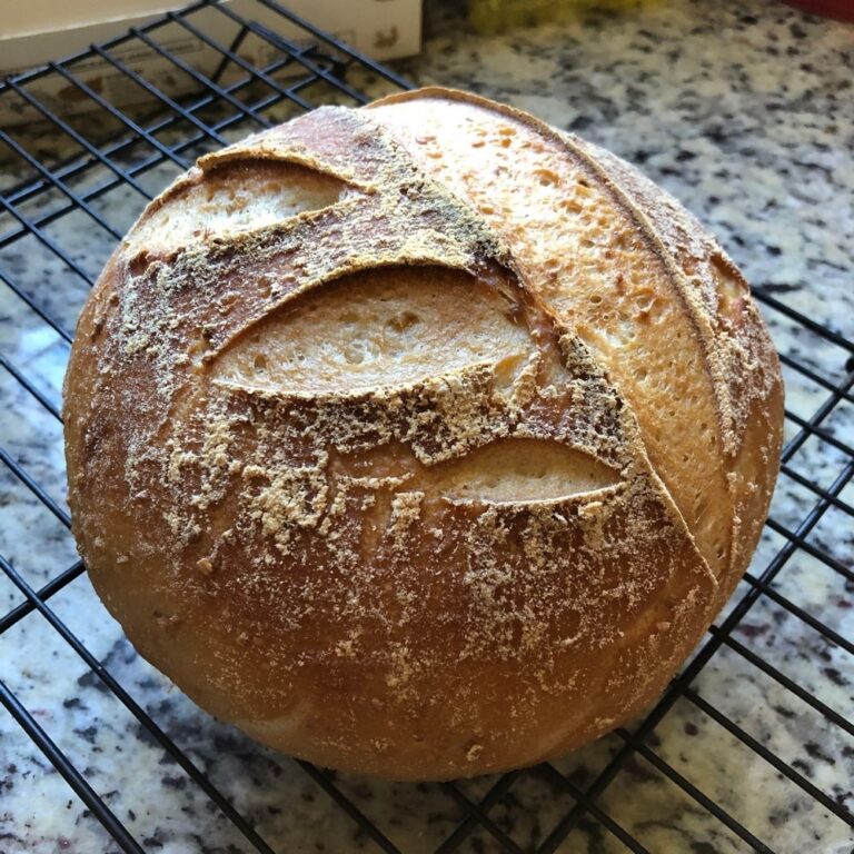 Gluten Free Sourdough Bread Breadtopia