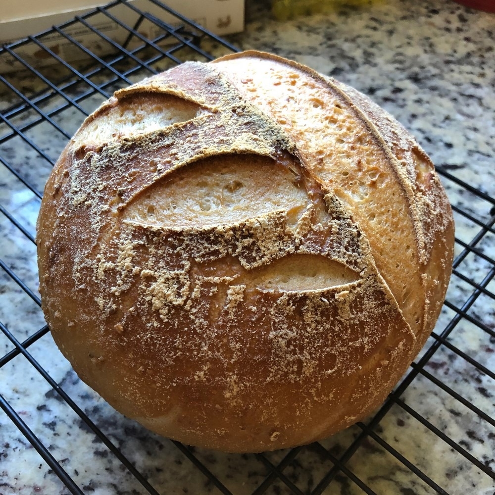 Gluten Free Sourdough Bread Breadtopia